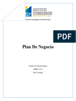 Plan de Negocio Completo