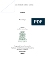 Técnicas de Hibridación de Ácidos Nucleicos