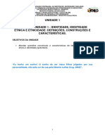 2-Identidade, Identidade Étnica e Etnicidade Definições, Construções e Características.