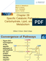 GOB9e - Chapter28 - Metabolism Carbo, Lipids, Proteins