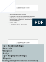 Epilepsia Borjas