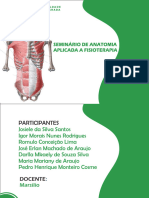 Anatomia Aplicada A Fisioterapia