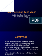 Food Web (Transfer of Energy)