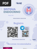 Sistema Endocrino SJ