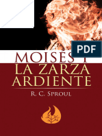 Moisés y La Zarza Ardiente - Removed