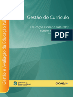 Curriculo Moreira e Candau