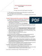 Lecture Outline: Chapter 5 The Structure and Function of Macromolecules