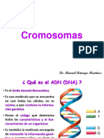 Cromosomas