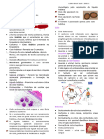 Hidatidose e Himenolepiase - P2 Parasito