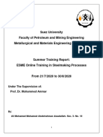 Ali Mohamed Awadallah Training Report