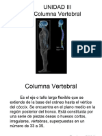 UNIDAD III Anatomía Humana