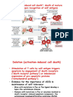 Cancer Immunotherapy 2020