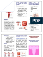 Qué Es El Cancer de Cervix