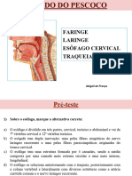 Aula 5 - Pescoço PDF