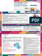 Primaria 5° Programa Analitico MD