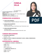 Curriculum Vitae Formato