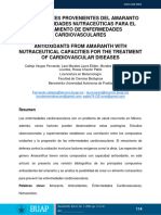 Antioxidantes Provenientes Del Amaranto Con Capacidades Nutraceúticas para El Tratamiento de Enfermedades Cardiovasculares