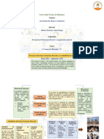 Organizador Grafico - Formacion