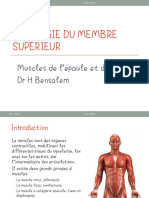 Muscles de L'épaule Et Du Bras