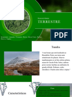 Green Modern Ecology Ecosystem Presentation