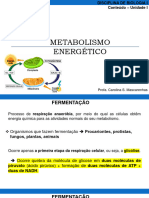 Unidade I - Fermentação e Fotossintese