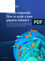 Carbon Removals How To Scale A New Gigaton Industry