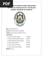 Informe Envases Metalicos