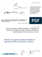 Progresion Del Agarra Del Lapiz en Niños