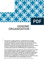 2nd Week - Genome Organization and DNA Replication