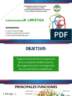 Circulación Linfática