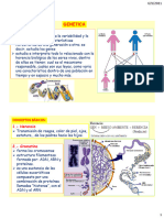 Genetica Teoria