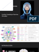 Radiología de Nervios Craneales