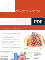 3.1 Fisiopatologia Del Corazon