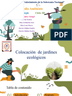 Colocacion de Jardin Ecologico