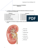 Actividad de Integración Abdomen DMOR0003 2023 - 10