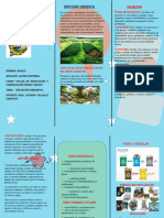 Triptico de Educacion Ambiental