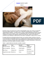 Zoonosis en Perros y Gatos