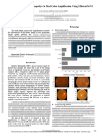 Detection of Diabetic Retinopathy Via Pixel Color Amplification Using EfficientNetV2