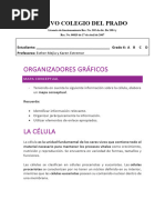 Taller de Organizadores Gráficos