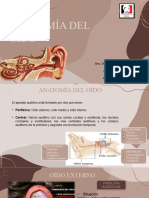 Anatomia de Oido