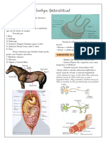 Fisiologia Gastrointestinal - 4 Semestre - 2022