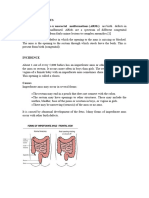 Imperforate Anus