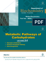 3 & 4 CHO Metabolism 2024