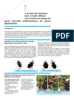 Ftec Palmier A Huile Amelioration Taux Nouaison