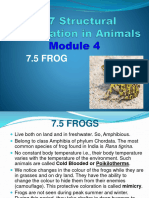 Class - XI - Biology - Structural Orgganization in Animals M 4