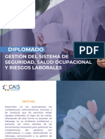 Diplomado Gestión de Seguridad, Salud Ocupacional, Riesgos Laborales