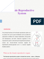 Female Hormone