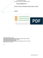 Actividad 3 - Semana 3 - Biomoleculas