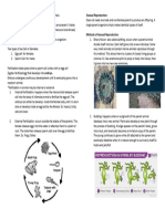 Modes of Reproduction of Animals