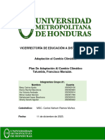 Plan de Adaptacion Al Cambio Climatico Tatumbla F.M.